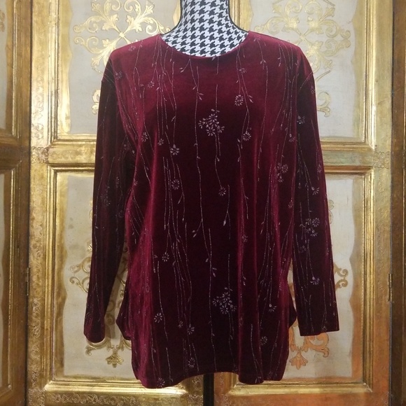 Beautiful Velvet Blouse